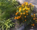 Ботанический сад, окрестности парка