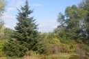 Ботанический сад, окрестности парка