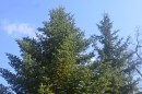 Ботанический сад, окрестности парка