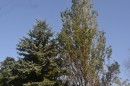 Ботанический сад, окрестности парка