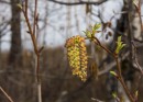 Фото 42276