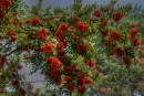 Фото 43226