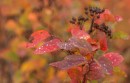 Фото 43236