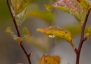 Фото 43237