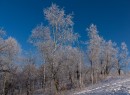 Фото 43376