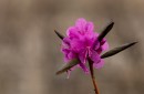 Фото 43693