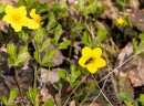 Фото 43695