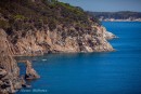Фото 44546