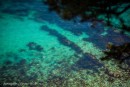 изумрудная вода в малодоступной бухте с shamora.info