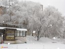 Весна пришла?