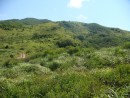 полуостров гамова, мыс шульца